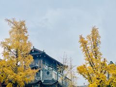 -罗妈砂锅(四川成都奎星楼店)