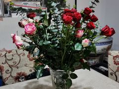 -循礼门鲜花花市(武汉循礼门店)