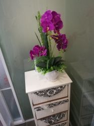 -薇兰专业脱毛连锁机构