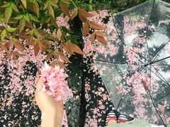 -灌篮高手动画打卡地