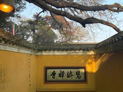 -普陀山风景区-佛顶山