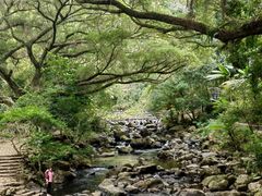 -广州市石门国家森林公园