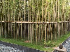 -蓝楹湾度假酒店