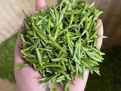 -兰剑驾校(汉阳校区)