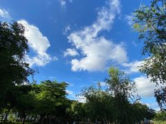 -映月湖公园