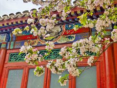 -海棠花溪(元大都城垣遗址公园)