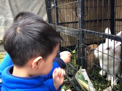 -小鱼草莓采摘园农家乐·小鱼餐厅