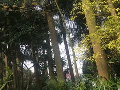-南宁南湖公园