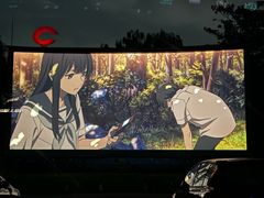 -枫花园汽车电影院(朝阳公园店)