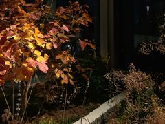 -漪龙台·B26 Rooftop Lounge