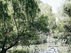 -梁鸿国家湿地公园