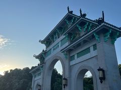 -溪岸路花鸟市场