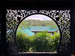 -桂湖森林公园