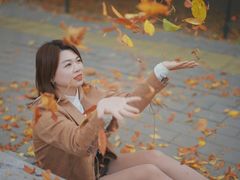 -三里屯东五街银杏大道