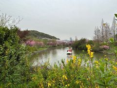 -苏州上方山国家森林公园
