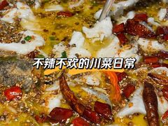-新蜀会四川豆花(五羊店)