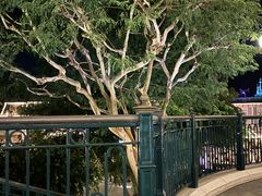 -巴黎迪士尼乐园