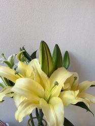 -禾壹净·素颜美问题肌肤修护中心