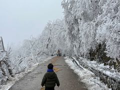 -紫金山山顶公园