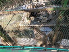 -藏龙百瀑风景区