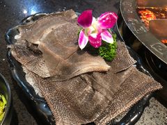 -渝宗老灶火锅(巴国城店)
