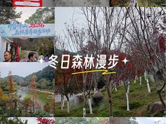 -广州市帽峰山景区