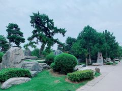 -中国唐苑