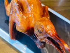 -大鸽饭(岗顶店)