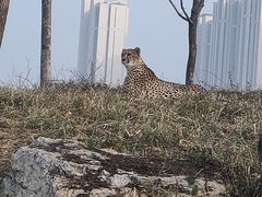 -太原动物园