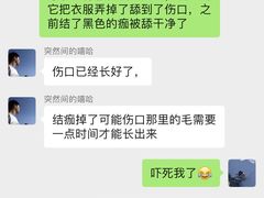 -创凡宠物医院·骨专科  猫科中心(西乡分院)