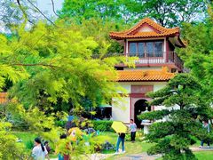-深圳仙湖植物园