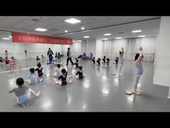 -西安小天鹅艺术团(金花路校区)