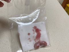 -宠福鑫动物医院(城北分院)