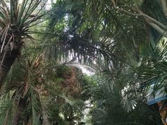 -呀路古热带植物园