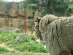 -杭州野生动物世界