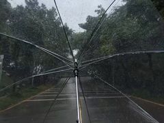 -黄金海岸环岛路