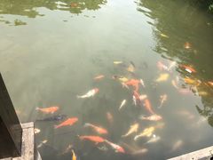 景点-天目湖山水园