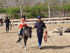 -北京群众马术培训基地