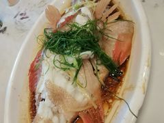 东星斑-八方海味餐厅