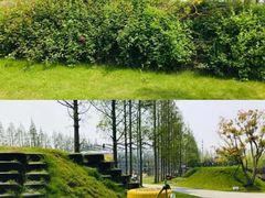 -前小桔亲子创意农场·草莓采摘·露营烧烤