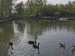 -溱湖国家湿地公园