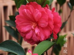 -盛邦家居建材广场