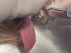 -宠颐生动物医院·小陆分院