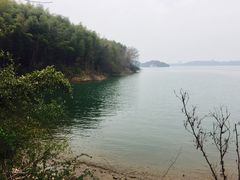 -天目湖山水园