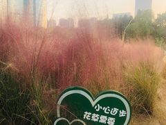 -艾溪湖湿地公园