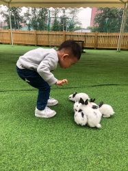 -萌宠亲子动物乐园(槐房万达店)