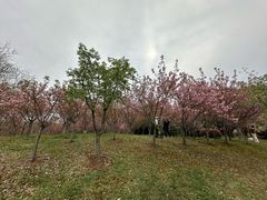 -南山风景名胜区