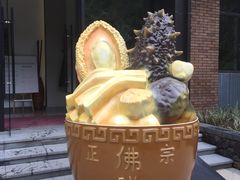 -汇雅温泉