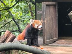 -云南野生动物园