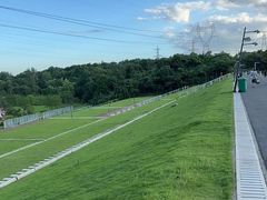 -佛手湖郊野公园